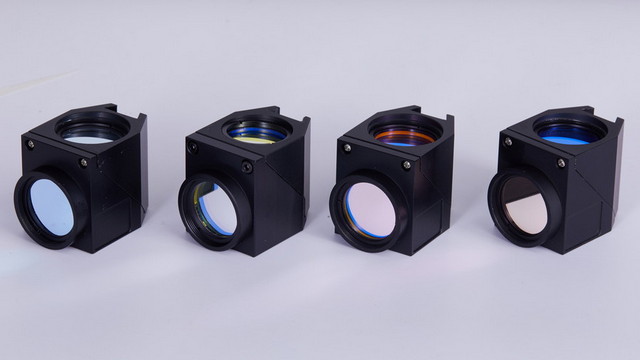 荧光观察04.jpg 荧光观察04.jpg