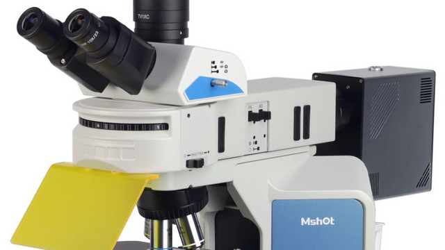 荧光观察05.jpg 荧光观察05.jpg