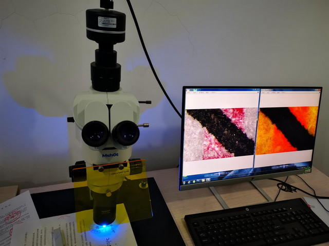 荧光观察10.jpg 荧光观察10.jpg