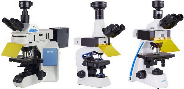 2024-06-12_163019.jpg 2024-06-12_163019.jpg