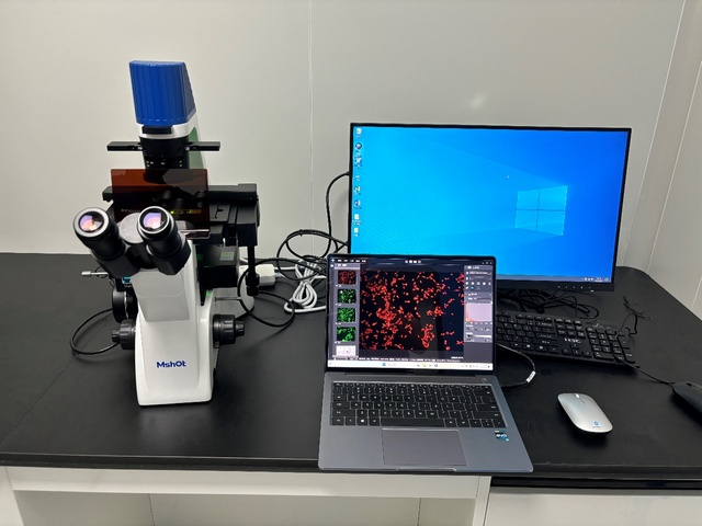 图片2.jpg 图片2.jpg