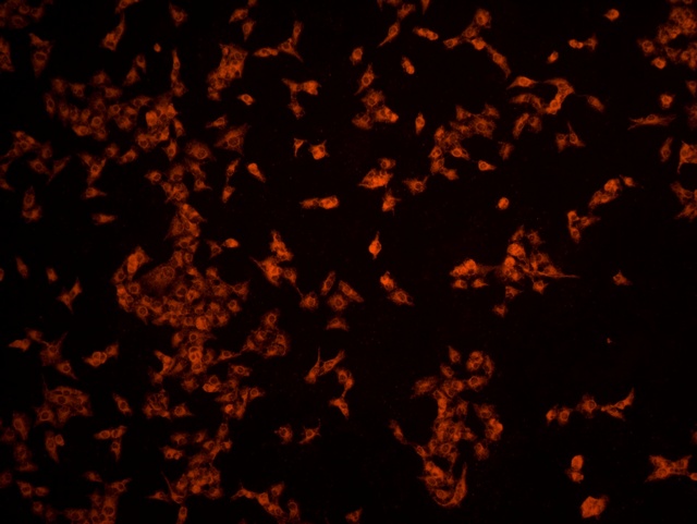 图片3.jpg 图片3.jpg