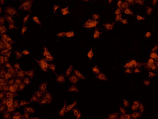 图片5.jpg 图片5.jpg