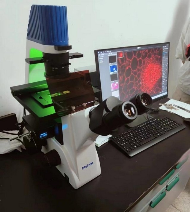 图片2.jpg 图片2.jpg