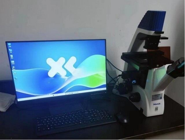 图片3.jpg 图片3.jpg