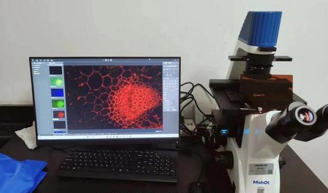 图片1.jpg 图片1.jpg