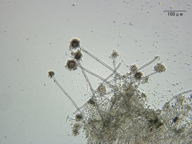 图片3.jpg 图片3.jpg