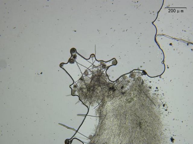 图片4.jpg 图片4.jpg