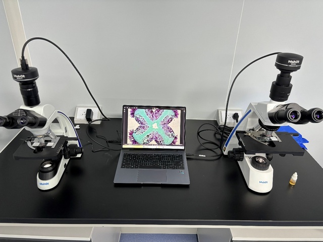 图片3.jpg 图片3.jpg