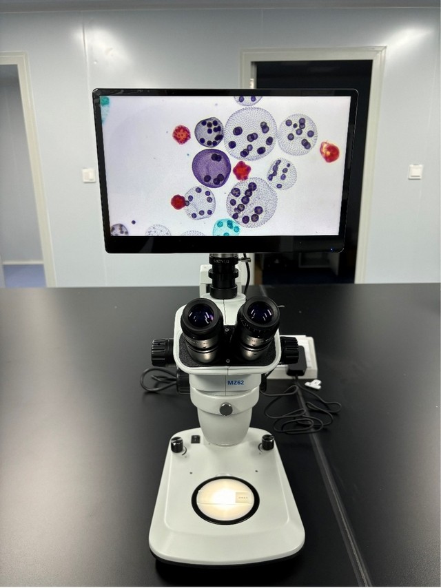 图片4.jpg 图片4.jpg