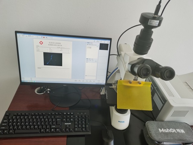 MF31+MD50-1.jpg MF31+MD50-1.jpg