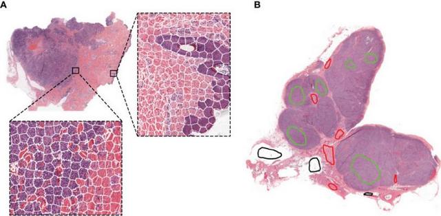 图片1_5.jpg 图片1_5.jpg
