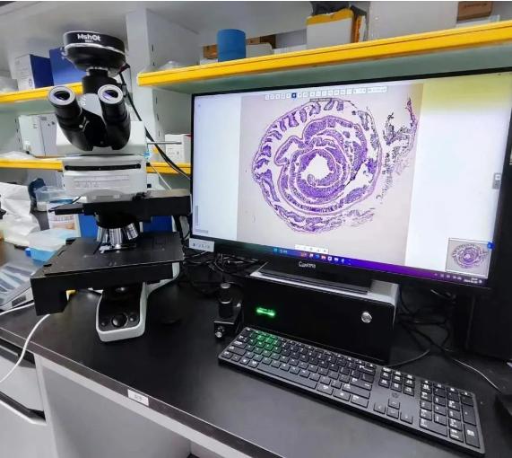 图片2.jpg 图片2.jpg