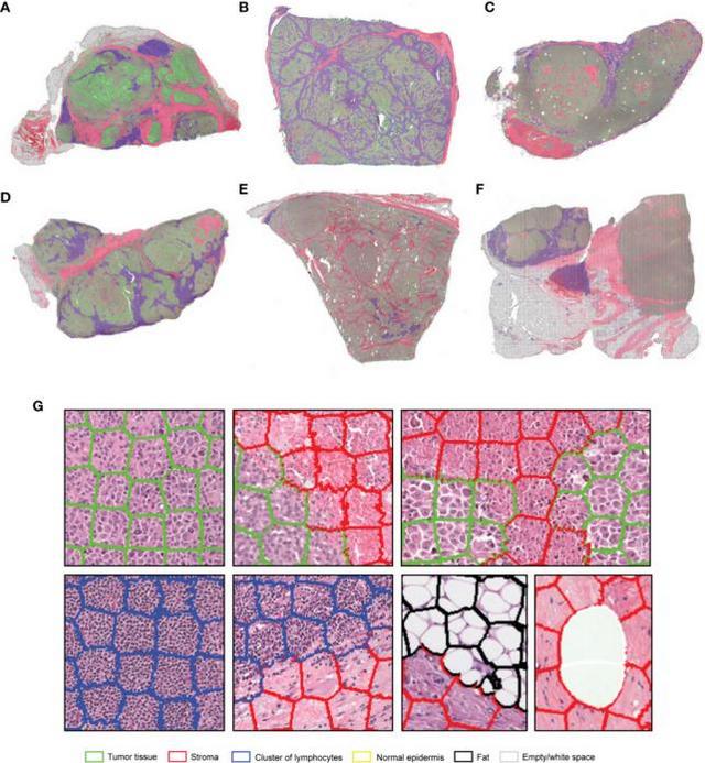 图片3_5.jpg 图片3_5.jpg