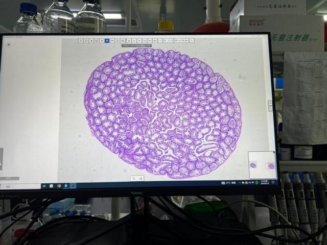 图片4_4.jpg 图片4_4.jpg