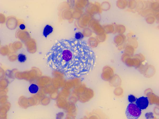 图片5.jpg 图片5.jpg