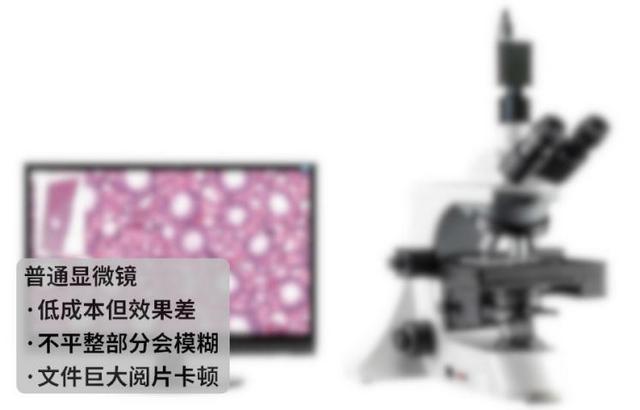 图片7.jpg 图片7.jpg