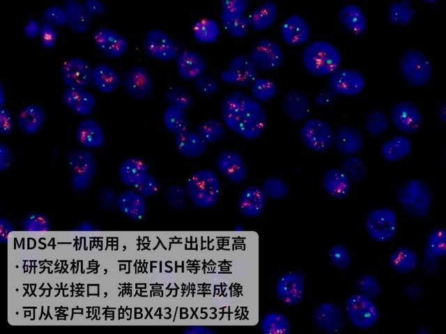 图片9.jpg 图片9.jpg