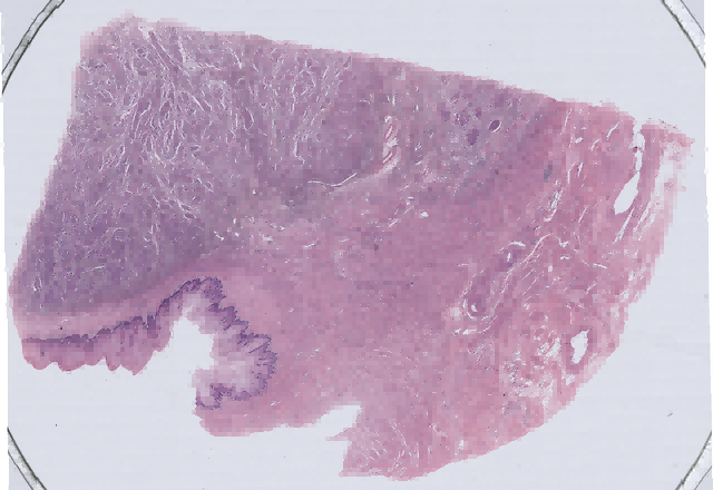 01_数字切片(1).png 01_数字切片(1).png