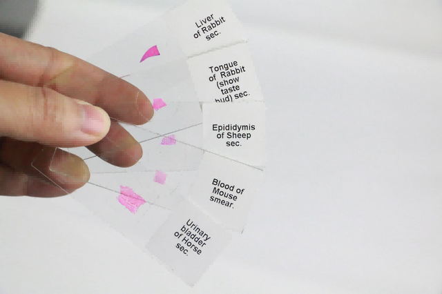 02_数字切片(1).png 02_数字切片(1).png