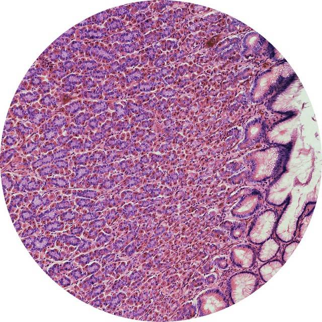 04_数字切片(1).jpg 04_数字切片(1).jpg