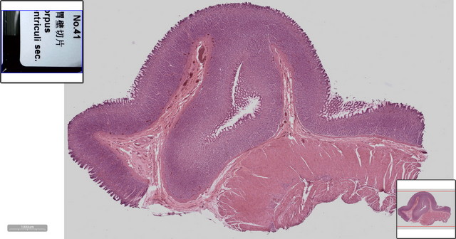 05_数字切片.jpg 05_数字切片.jpg