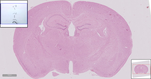 06_数字切片.jpg 06_数字切片.jpg