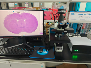 07_数字切片(1).png 07_数字切片(1).png