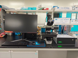 08_数字切片(1).png 08_数字切片(1).png