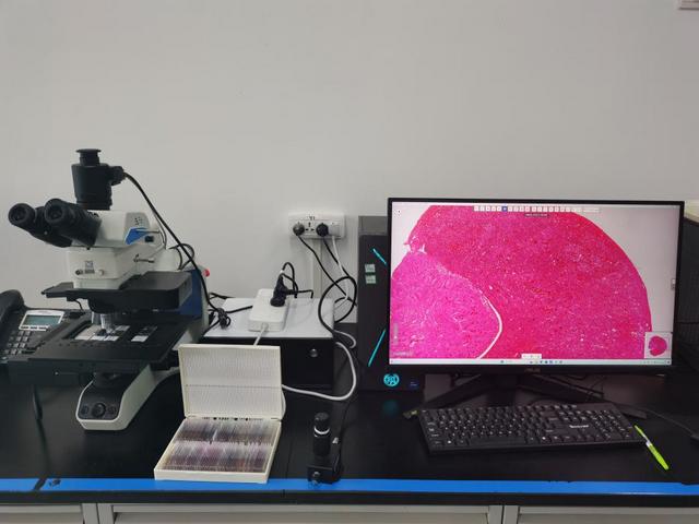 图片2.2.jpg 图片2.2.jpg