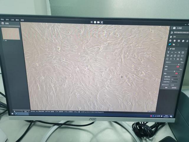 图片4.2.jpg 图片4.2.jpg