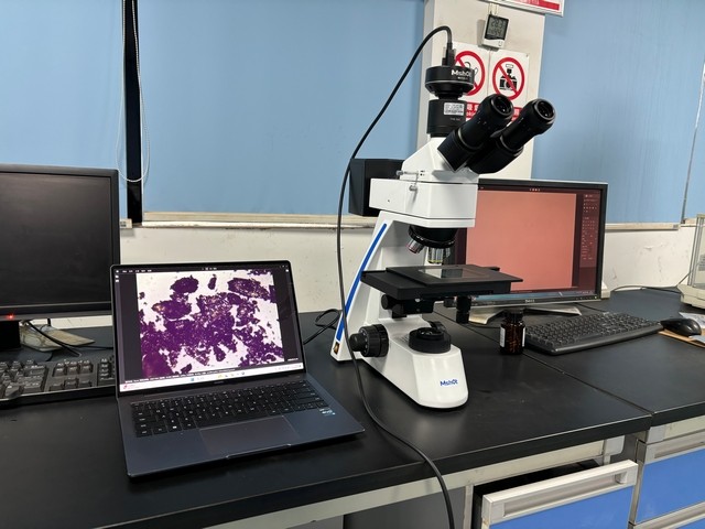 图片5.1.jpg 图片5.1.jpg