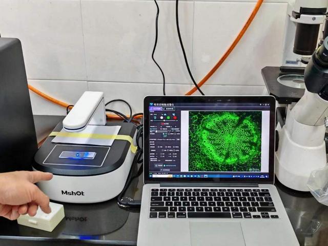 图片6.1.jpg 图片6.1.jpg