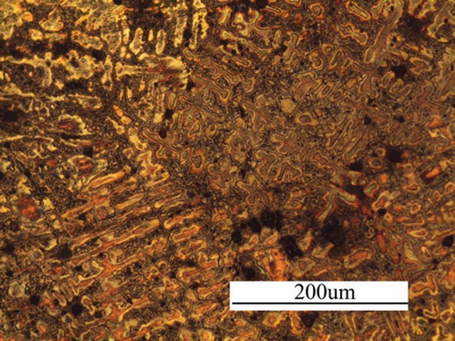 文物5.jpg 文物5.jpg