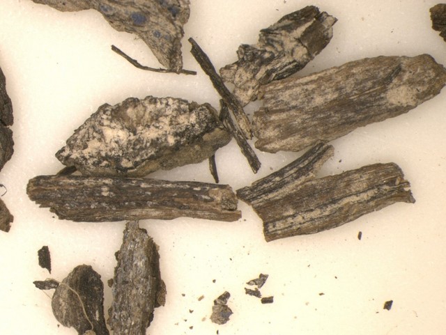 文物6.jpg 文物6.jpg