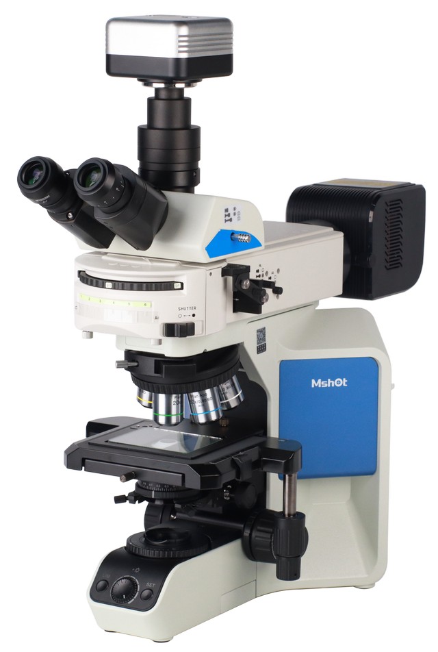 文物8.jpg 文物8.jpg