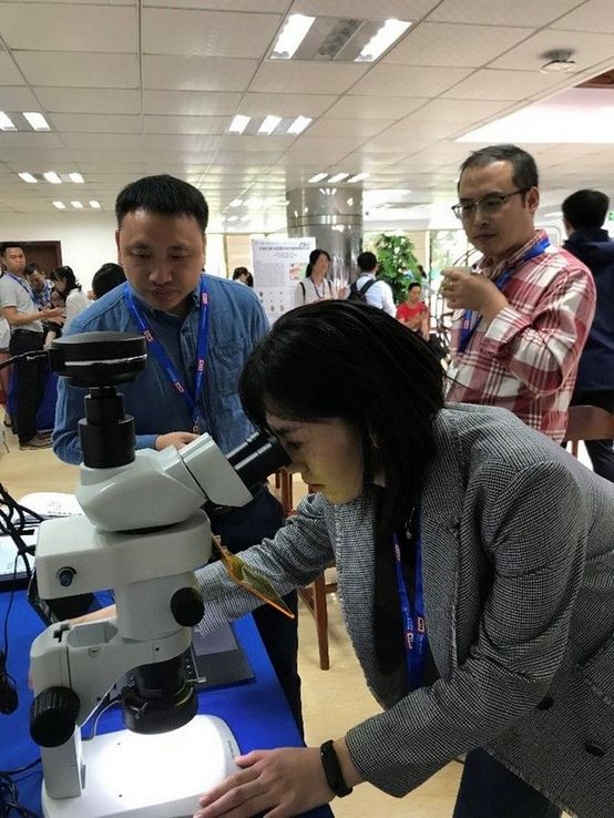 文物12.jpg 文物12.jpg