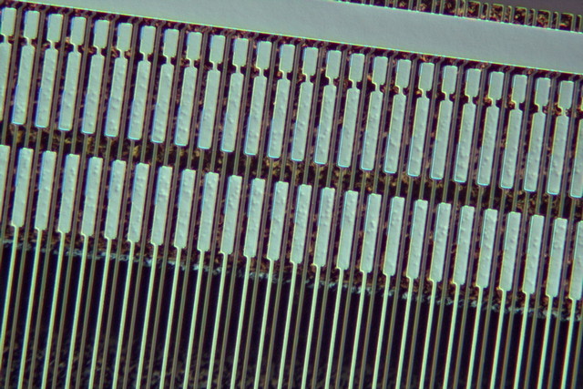 09DIC_MJ33DIC-MS60-10X.jpg 09DIC_MJ33DIC-MS60-10X.jpg