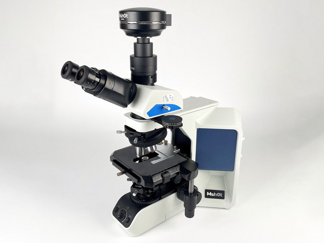 11DIC_微信图片_202212101349131.jpg 11DIC_微信图片_202212101349131.jpg