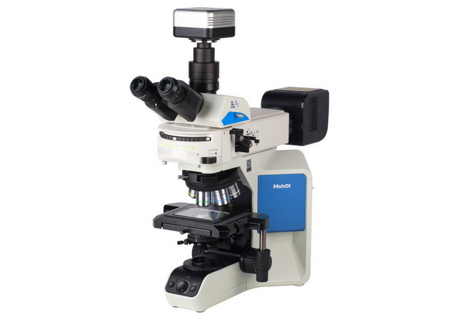 12DIC_IMG_1711 拷贝.jpg 12DIC_IMG_1711 拷贝.jpg