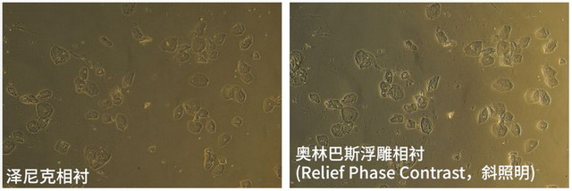 03HMC_斜照明2.jpg 03HMC_斜照明2.jpg