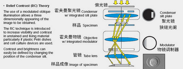 05HMC_RC.jpg 05HMC_RC.jpg