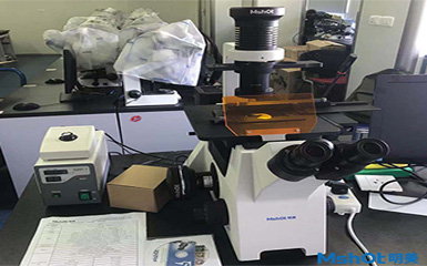 明美倒置荧光显微镜助力华中科技大学活细胞检测