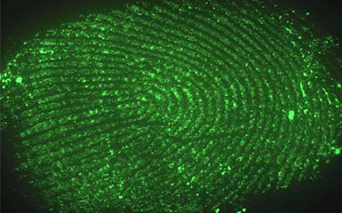明美科研级显微镜相机对指纹的识别研究
