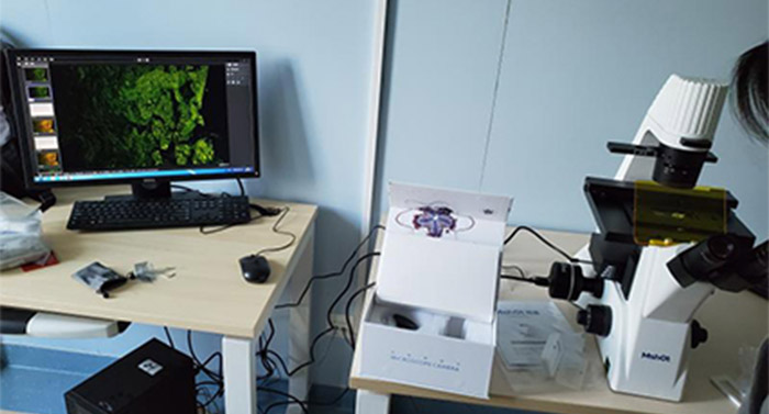 倒置荧光显微镜应用于北京大学深圳医院口腔上皮细胞观察
