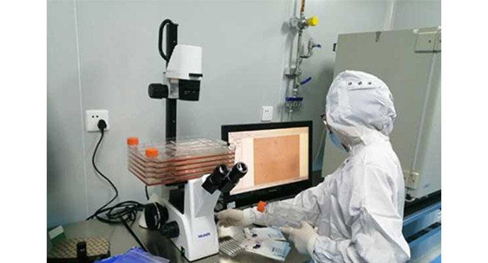 倒置显微镜应用于细胞工厂培养及观察