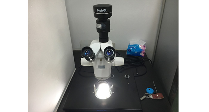 体视显微镜应用于广东省农业科学院水稻种子观察