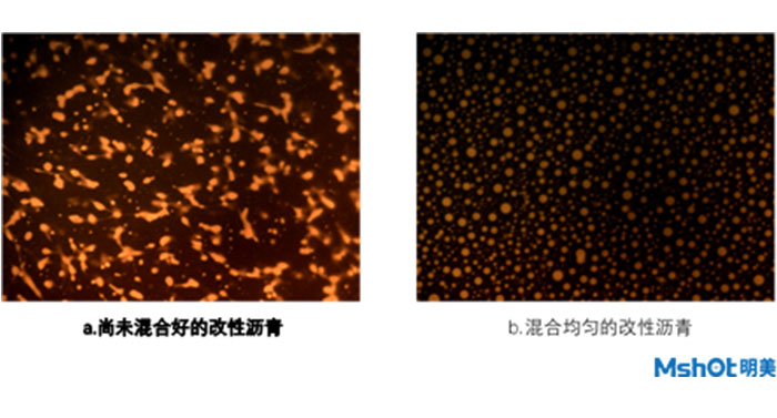 荧光显微镜应用在改性沥青研究