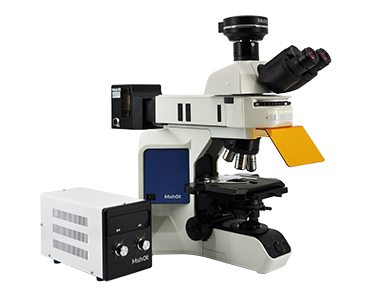 荧光生物显微镜MF43-M