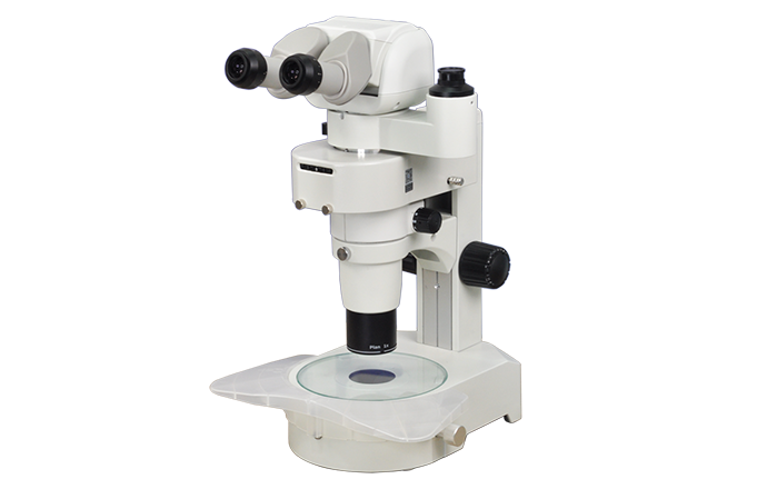 体视荧光显微镜用于细胞生物学领域